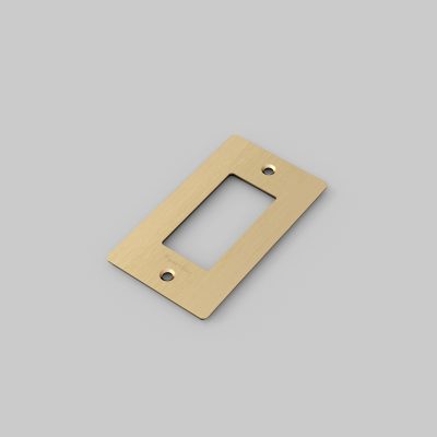 1G PLATE / WITH LOGO / BRASS